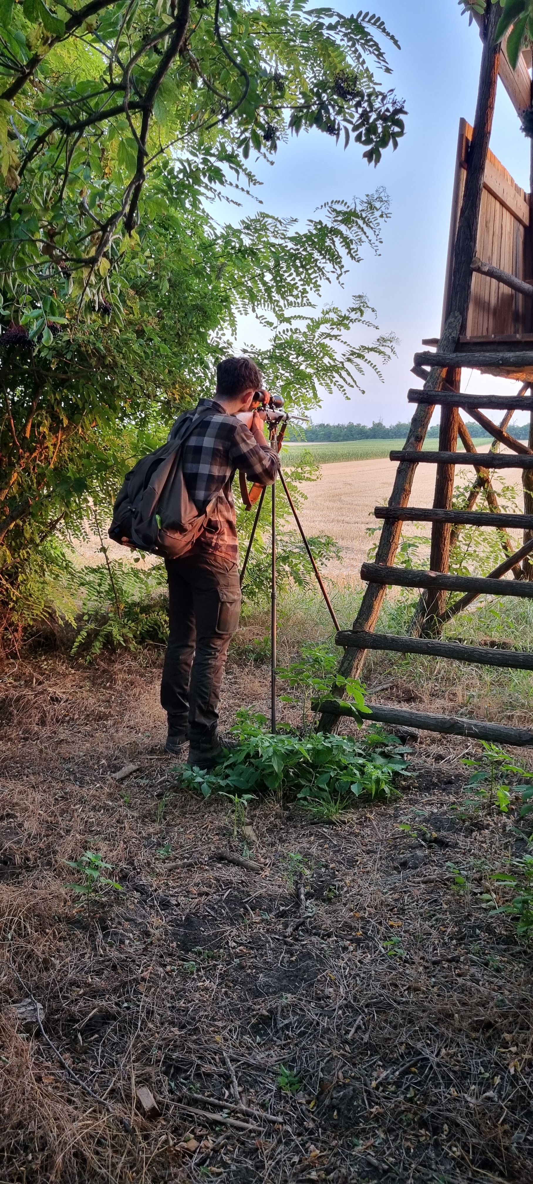 pexels-adrienn-638530-1537635