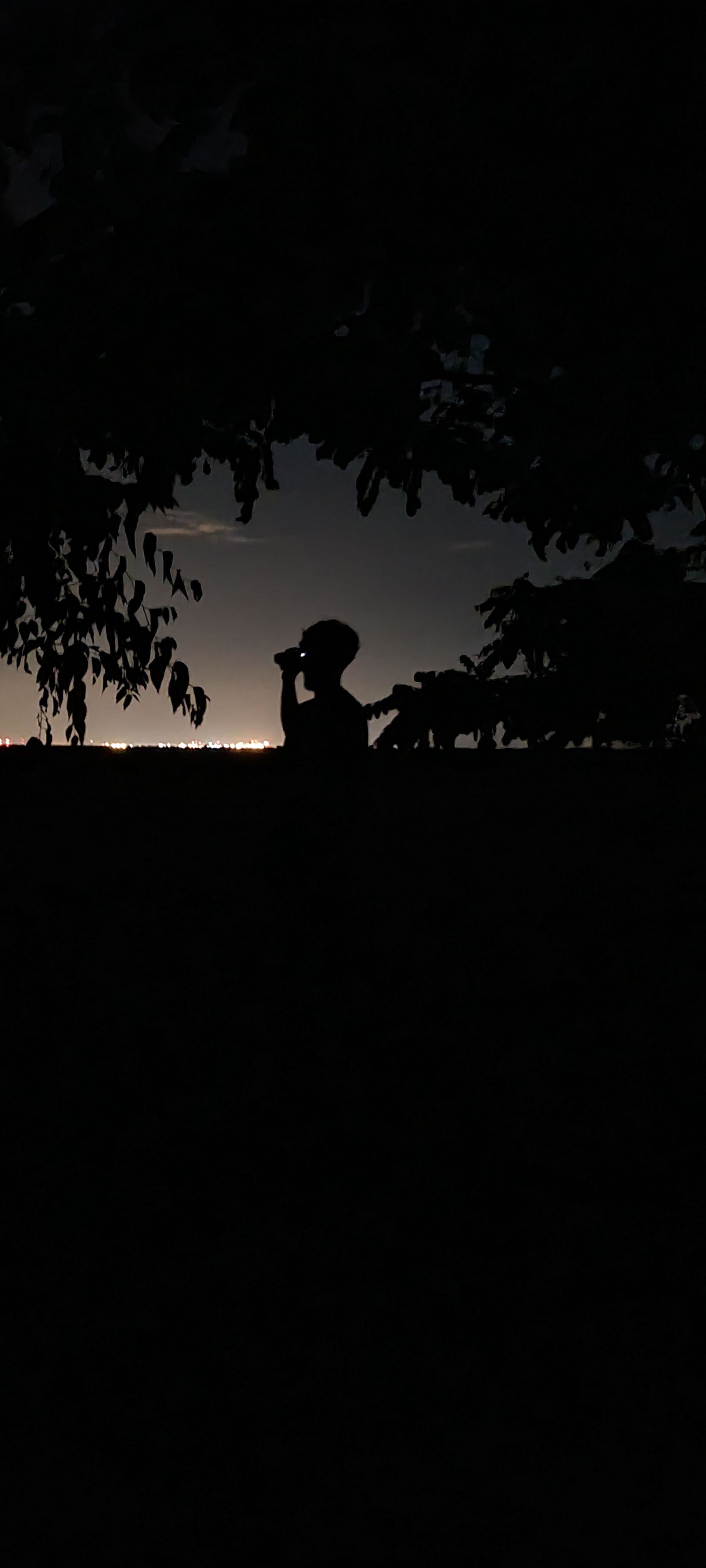 pexels-annija-mieze-427042079-15197931