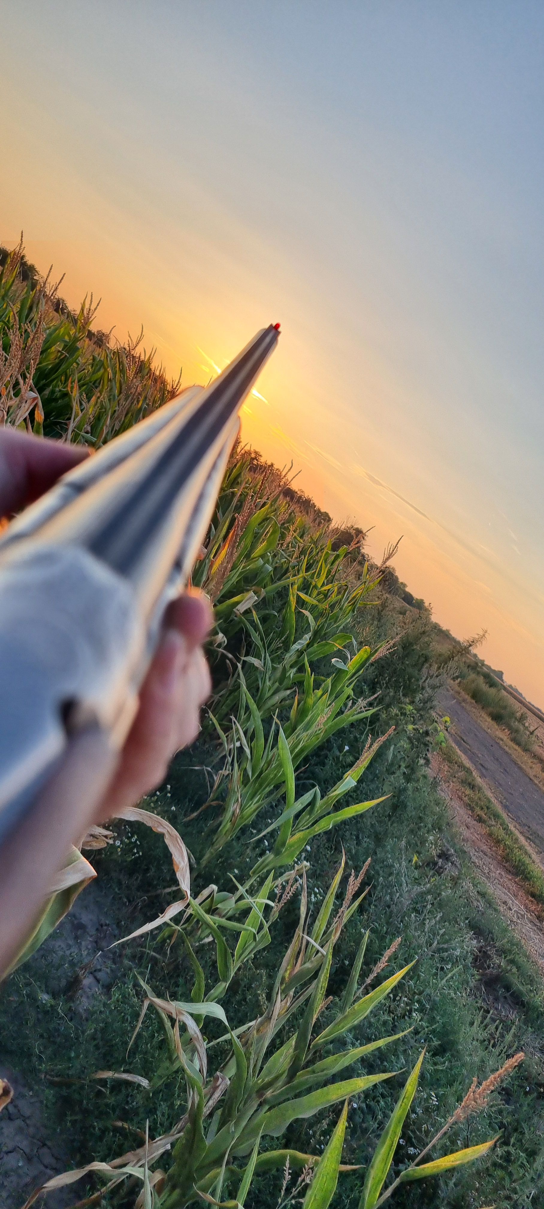 pexels-fariphotography-905847