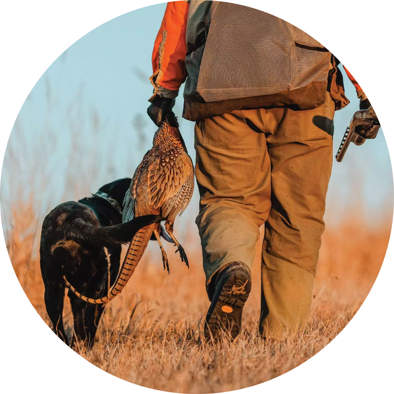 A description of my image.