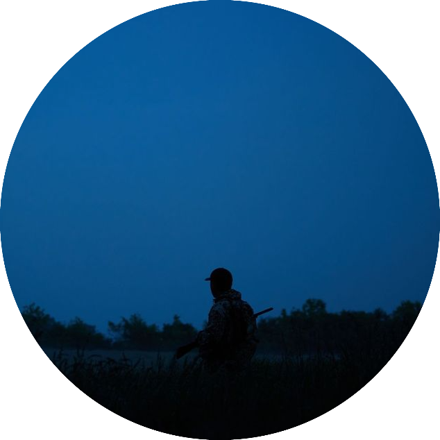 A description of my image.